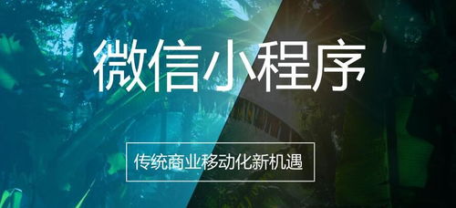 小程序定制向用戶(hù)開(kāi)放公測(cè)
