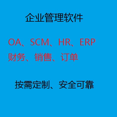 企業(yè)管理網(wǎng)站(系統(tǒng))開發(fā)/財(cái)務(wù)、管理、HR、OA、CMS