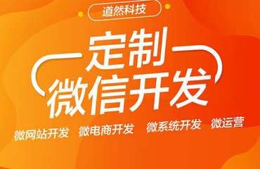 企業(yè)定制網(wǎng)站建設,小程序開發(fā),微信開發(fā)